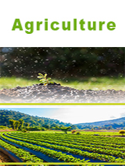 Global Nitrogen Fertilizers Market Research Report 2023
