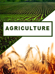 Agriculture Shade Nets Market, Global Outlook and Forecast 2023-2032