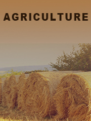 Leisure Tourism Agriculture Market, Global Outlook and Forecast 2024-2030